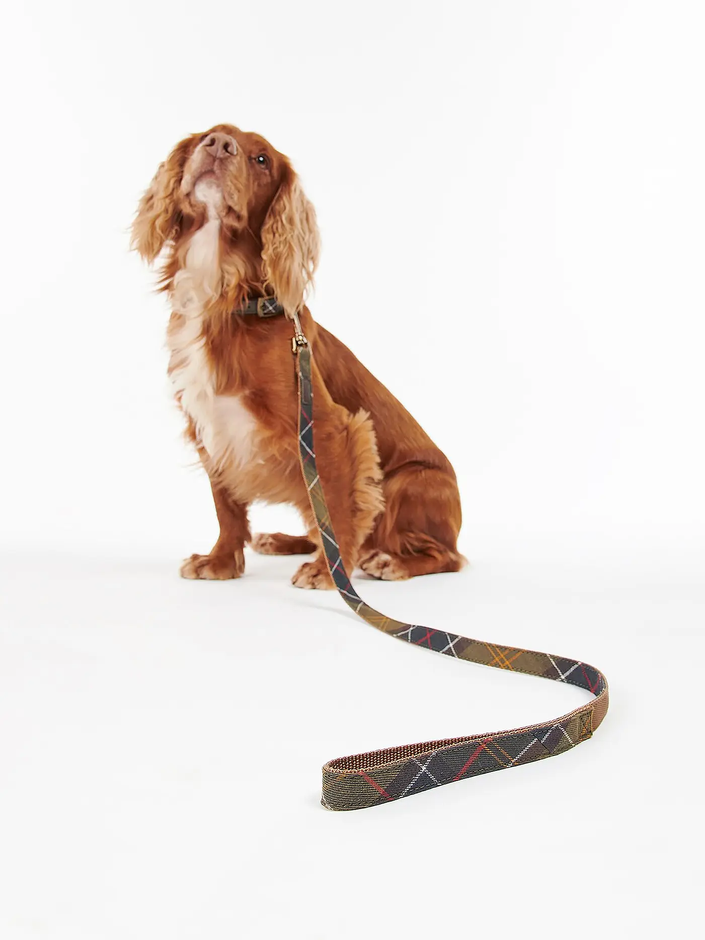 BARBOUR | Hunde Leine Tartan | 